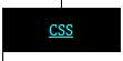 CSS Page