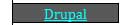 Drupal Web Page